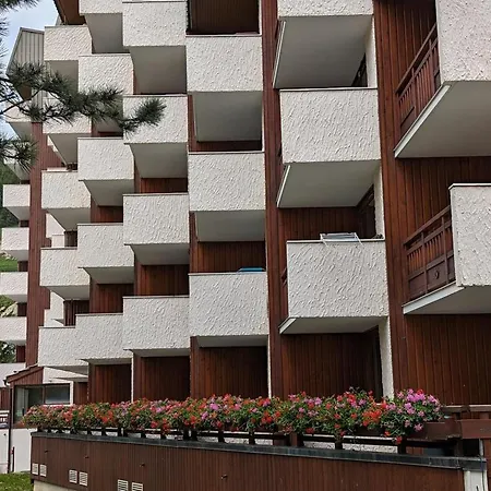 Fonctionnel 2 Pieces, Animaux Admis, Au Pied Des Pistes - Fr-1-811-41 Apartment